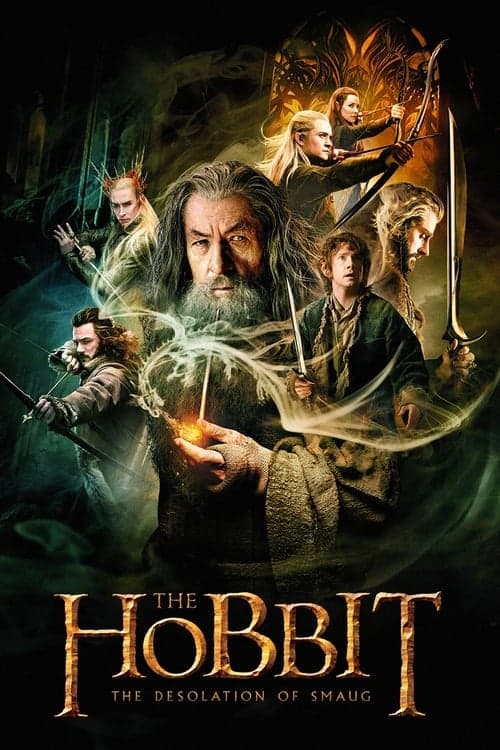 The Hobbit: The Desolation of Smaug 2013 movie poster