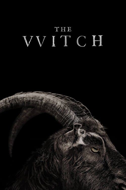 The Witch 2016 movie poster